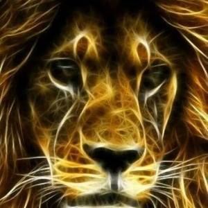 Meet your Posher, Jerome